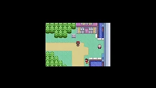 Pok&eacute;mon Detect House Flash Game